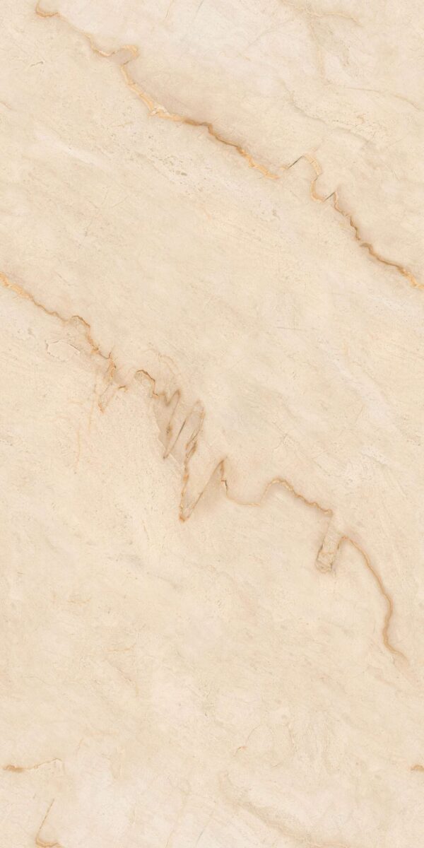 ET DRACO BEIGE - Image 3