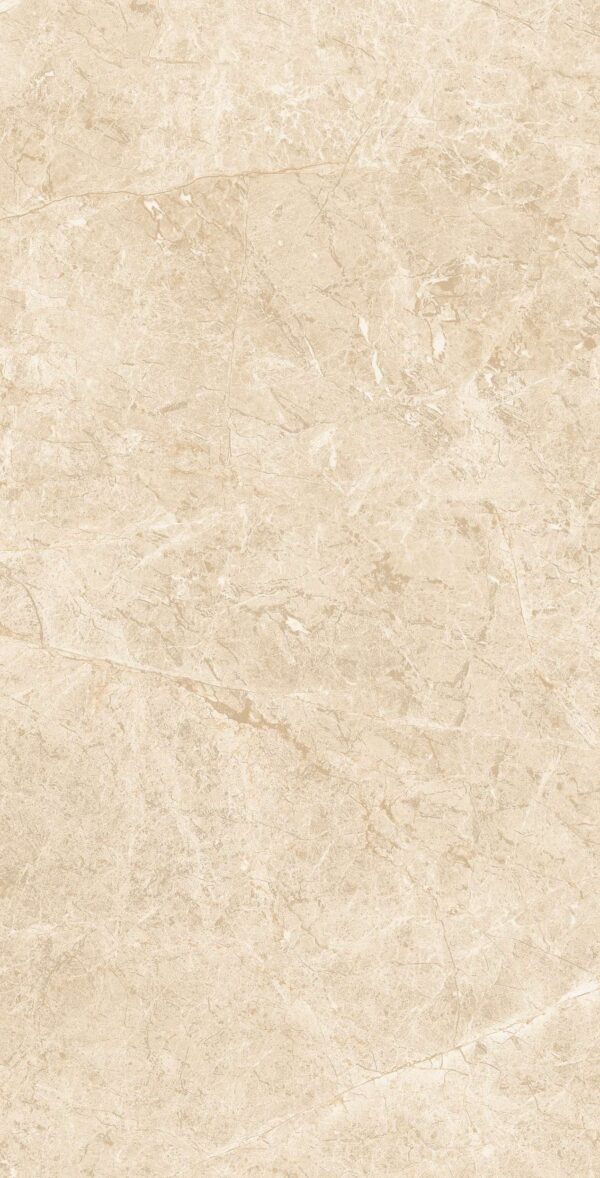 EUROPA BEIGE - Image 3