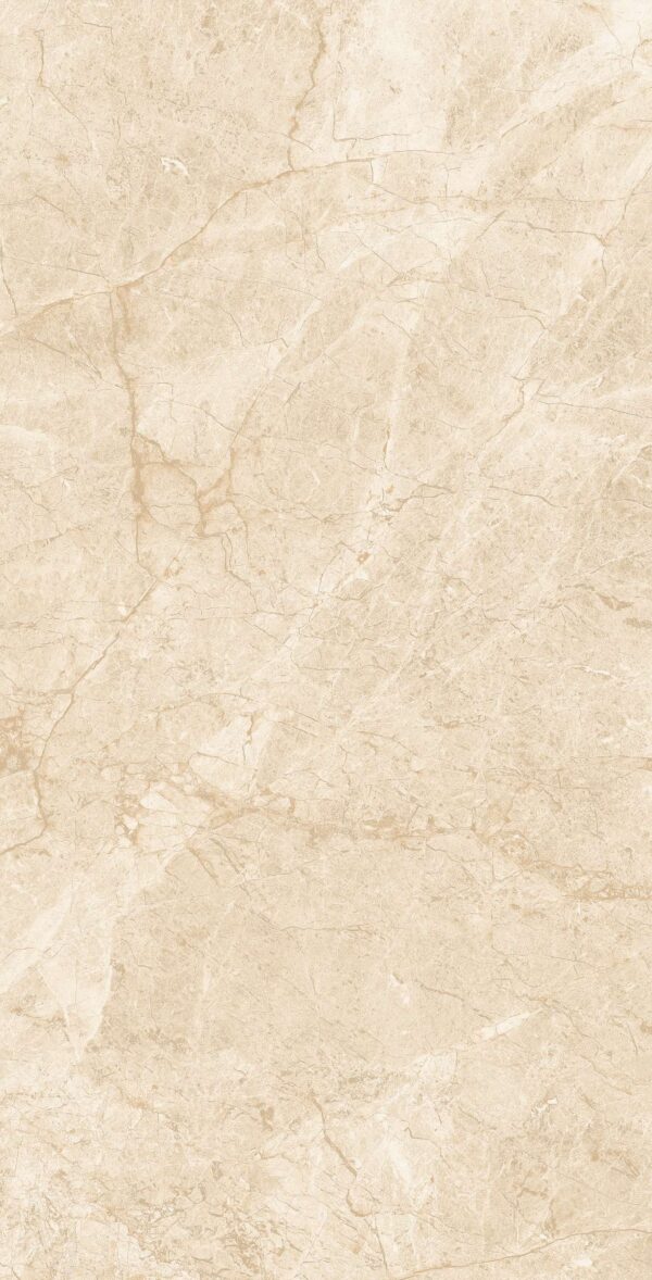 EUROPA BEIGE - Image 2