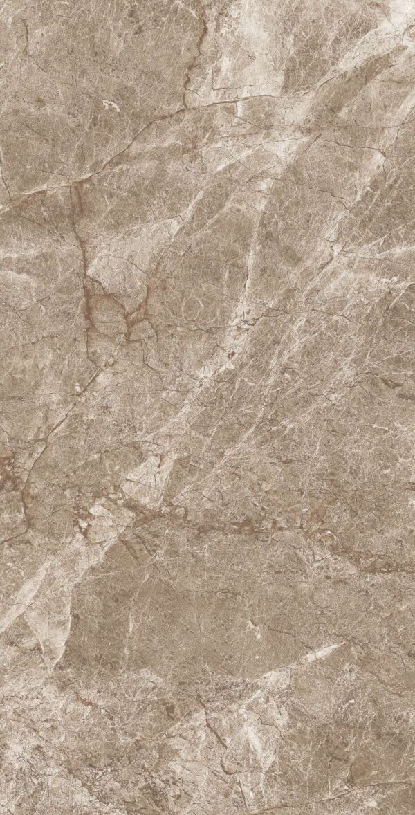 EUROPA BROWN - Image 4