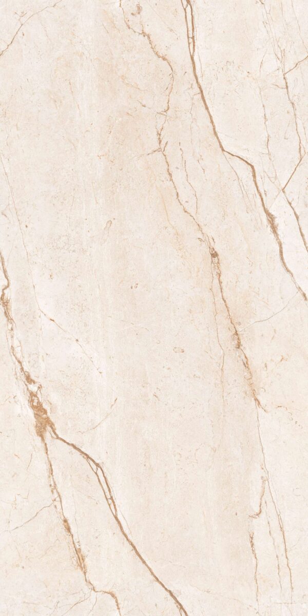 SILVER RIVER BEIGE - Image 4